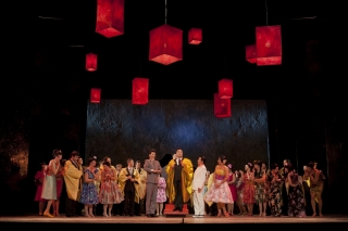 Der Mikado Der Mikado