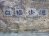 p1010325