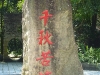 p1010840