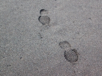 Meine vergänglichen Spuren im Sand