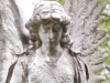engel