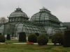 palmenhaus