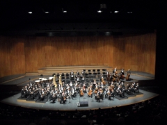  Aufstellung fürs Idyll: Die Wiener Philharmoniker noch ohne Lorin Maazel